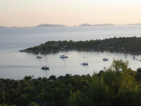homepage_jezina003004.jpg